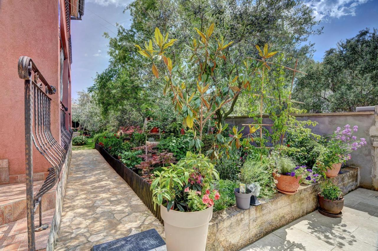 Apartments Babic Fažana Dış mekan fotoğraf